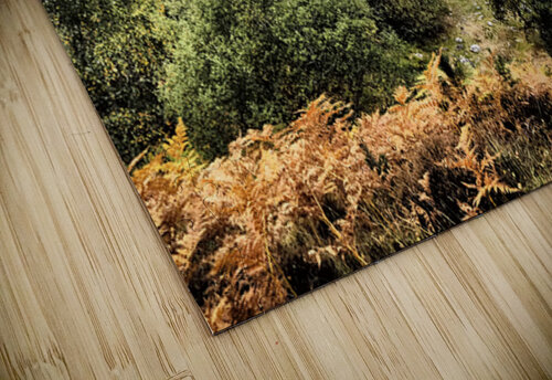 Serene Loch Vaa                                                                                                                      Catriona Roberts Nature Photography and Designs puzzle