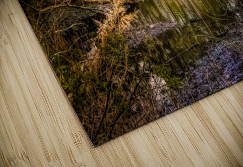 Serene Virginia Forest Swamp at Dusk Norma Brandsberg Photography puzzle