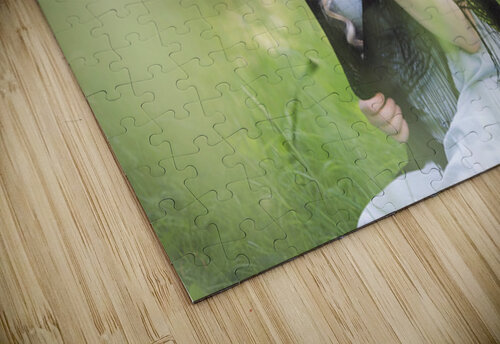 DSC 1080 Selkie Bluebelle puzzle