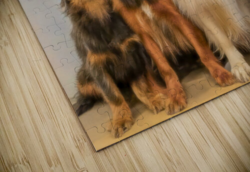 Four Fast Friends Thea Menagh puzzle