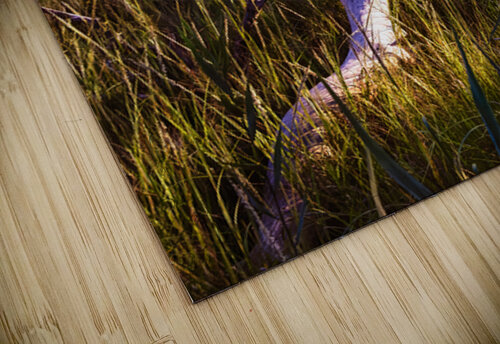 Illumination Marsh Tree at Sunset Norma Brandsberg Photography puzzle