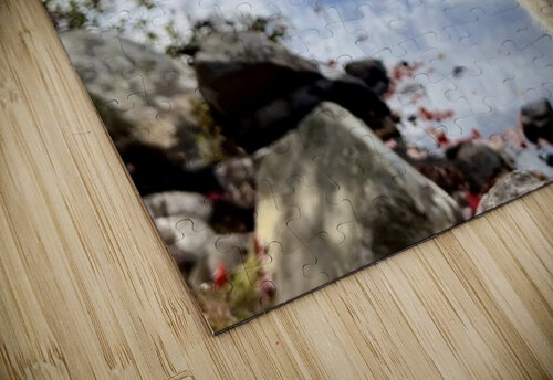 Striking a Cat-ivating Pose  Creative Expressions puzzle