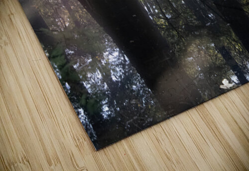 Virginia Beach State Park Luminous  Sunrise Fog Glow Norma Brandsberg Photography puzzle