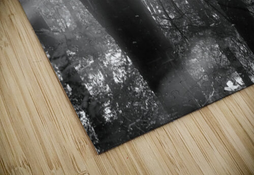 Virginia Beach Mysterious Cypress Swamp Norma Brandsberg Photography puzzle