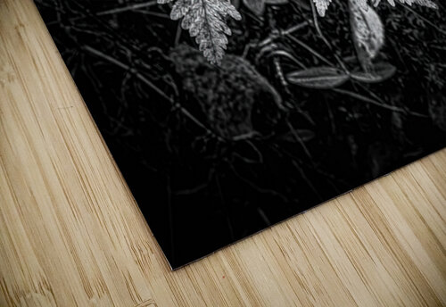 Ghost Fronds B W Prairie Wind Imagery puzzle