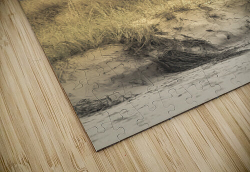 Virginia Beach Lonely Sand Dune Tree Norma Brandsberg Photography puzzle