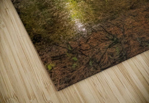 Dawn Forest Swamp Reflection Norma Brandsberg Photography puzzle