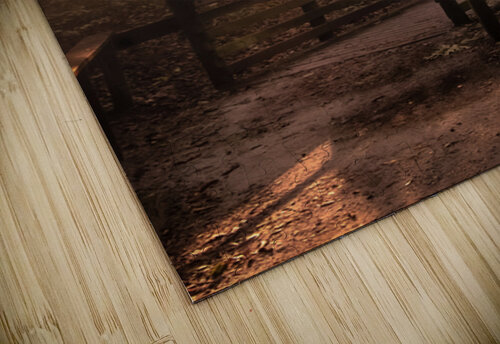 Virginia Cypress Forest Reflections Norma Brandsberg Photography puzzle