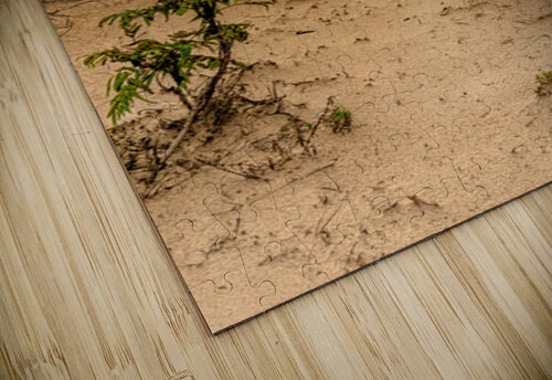 Sandy Path Through the Dunes Norma Brandsberg Photography puzzle