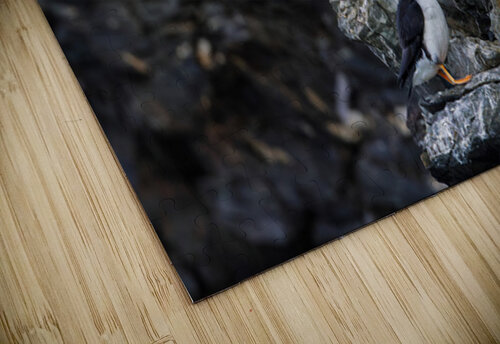 The Proposal Doug Sturgess puzzle