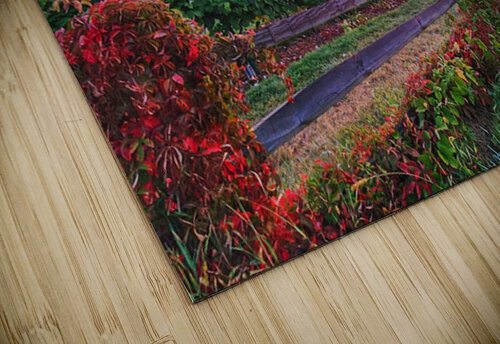 09Aug Belltown Hill Orchards Kevin Savage puzzle