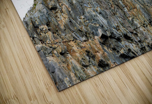 THE LIVING CLIFF Doug Sturgess puzzle