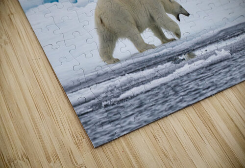 EMPRESS OF THE ARCTIC 3 Doug Sturgess puzzle