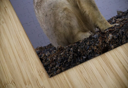 THE TASTE OF COLD AIR Doug Sturgess puzzle