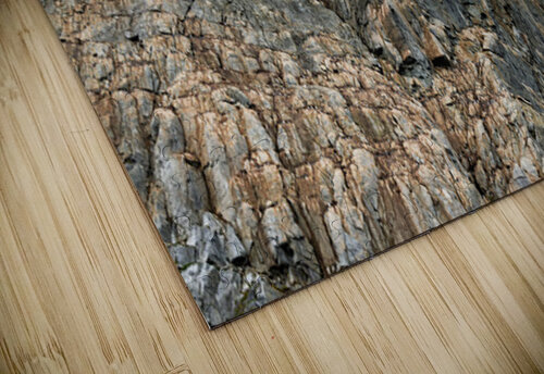 AVIAN HIGH RISE Doug Sturgess puzzle