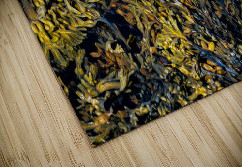 TAPESTRY DU FRANC Doug Sturgess puzzle