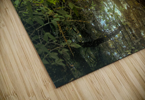 Serene Cypress Forest Sunrise Reflection Norma Brandsberg Photography puzzle
