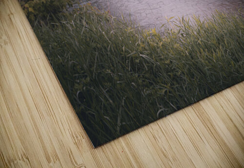 Cedar Creek Park   Misty River Jason Fink puzzle