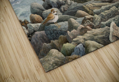 community Marc Dmytryshyn puzzle