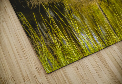 Southern Marsh Mirrored Reflections Norma Brandsberg Photography puzzle