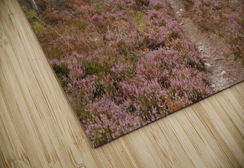 From the Heather to the Mountain                                                                                                                     Catriona Roberts Nature Photography and Designs puzzle