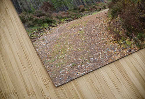 Peaceful Autumnal Forest Trail                                                                                                                      Catriona Roberts Nature Photography and Designs puzzle