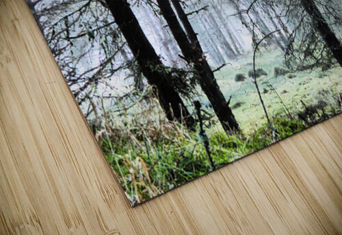 Scottish Highlands Misty Morning Pine Forest Catriona Roberts Nature Photography and Designs puzzle