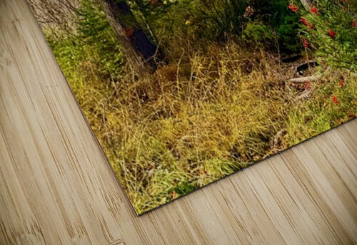 IMG 4401 brilliant colors Les Smith puzzle