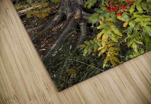 IMG 4378 landscape with colors Les Smith puzzle