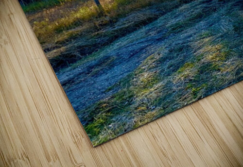 IMG 2246 cool colors in this landscape Les Smith puzzle