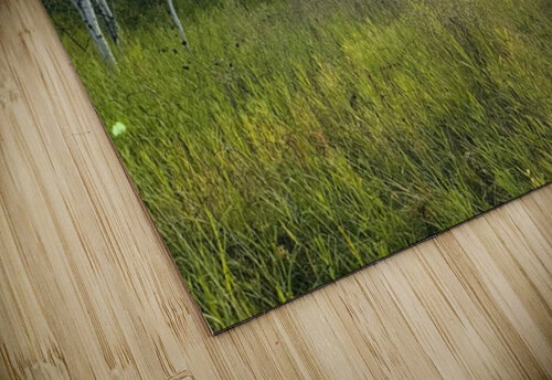 IMG 4250 Orange sun going down in the trees Les Smith puzzle