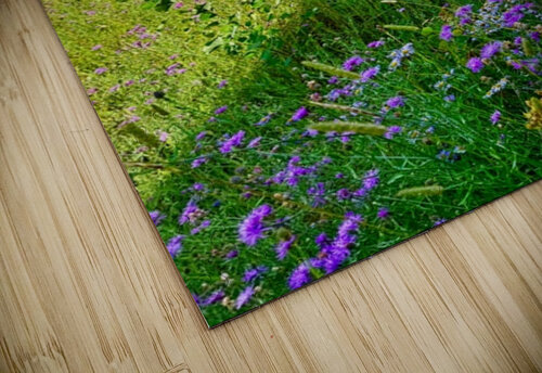 IMG 4039 Green grass purple flowers blue sky Les Smith puzzle