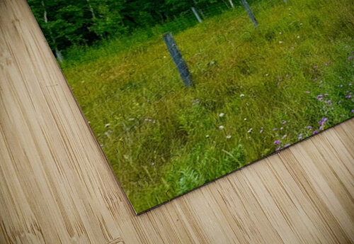 IMG 4041 wildflowers and Aspen trees Les Smith puzzle