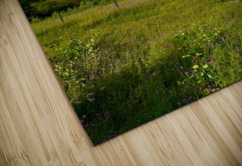 IMG 4040.blue sky and green  Les Smith puzzle