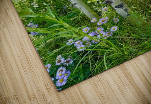 IMG aspen trees  and purple flowers Les Smith puzzle