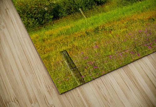 IMG 4042 high mountain pond Les Smith puzzle