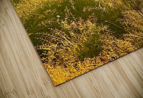 IMG 2179 Black cow Silhouette At sunrise Les Smith puzzle