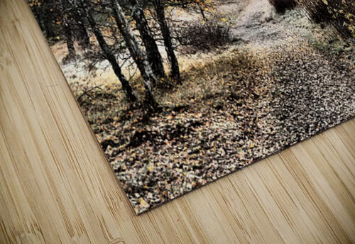  Scottish Highlands Autumnal Nature Trail                                                                                                                     Catriona Roberts Nature Photography and Designs puzzle