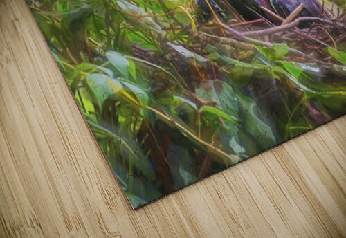 Tri-colored Heron Nesting in Dense Foliage Norma Brandsberg Photography puzzle