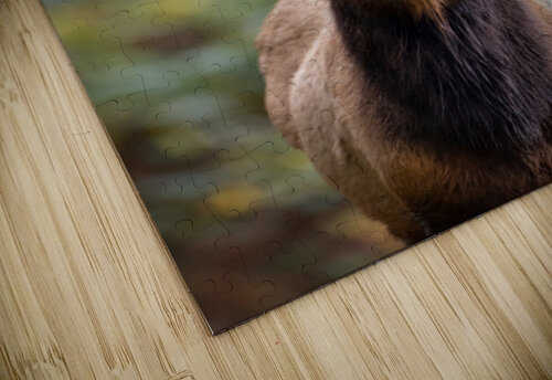 The Crowned Prince Josh DeLeenheer puzzle