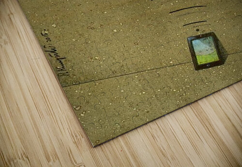 Freedom Pawel Kuczynski puzzle