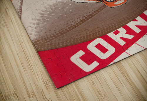 1952_College_Football_Princeton_Cornell_Schoellkopf Field_Program Poster Row One Brand puzzle