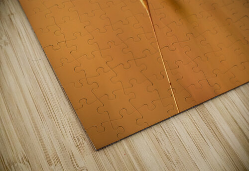 Golden Hour Grass David Yoon puzzle