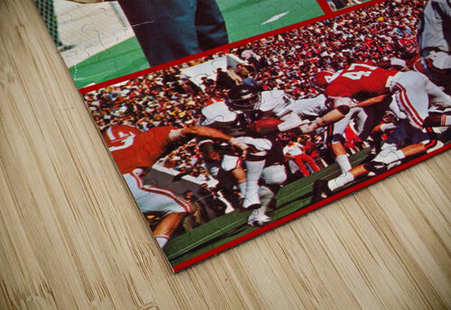 1974 Alabama Football Bear Bryant Art Row One Brand puzzle
