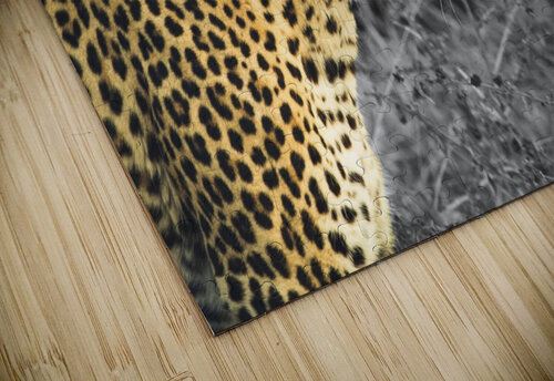 Leopard VMC Photography puzzle
