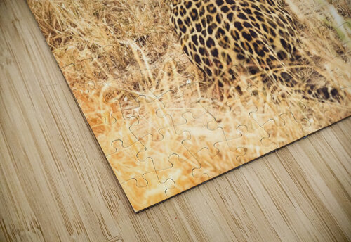 Leopard VMC Photography puzzle