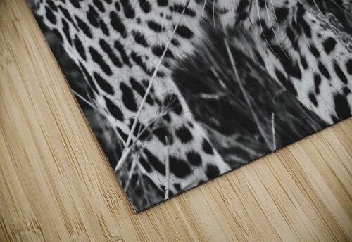 Leopard VMC Photography puzzle