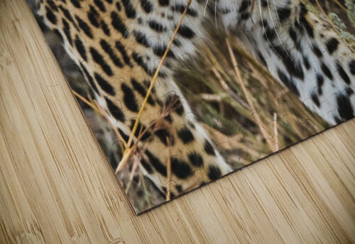 Leopard VMC Photography puzzle