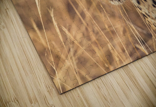 Leopard VMC Photography puzzle