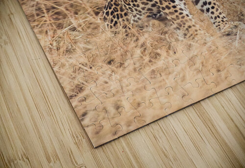 Leopard VMC Photography puzzle